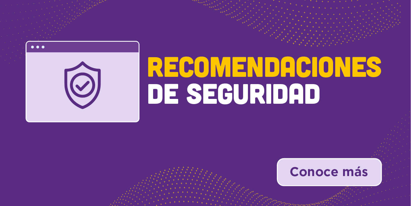 Recomendaciones de Seguridad